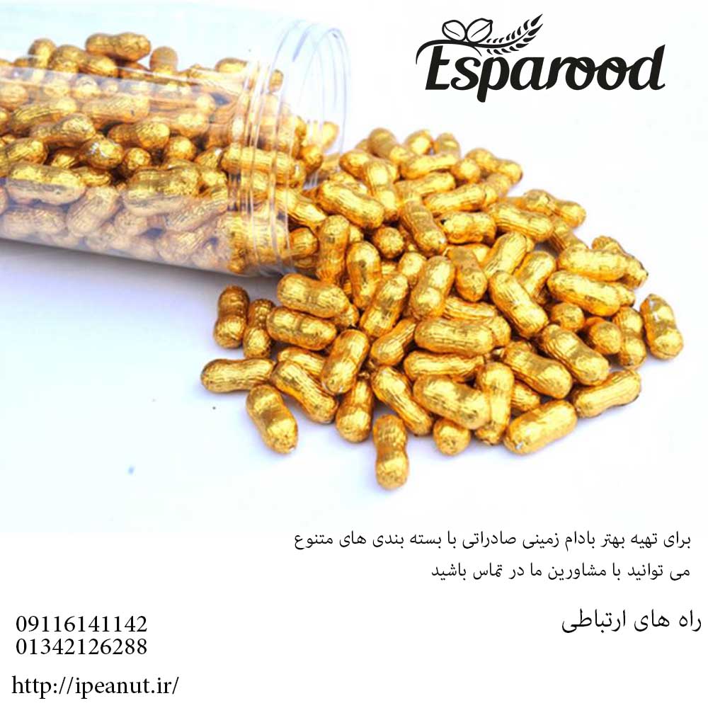فروش بادام زمینی صادراتی